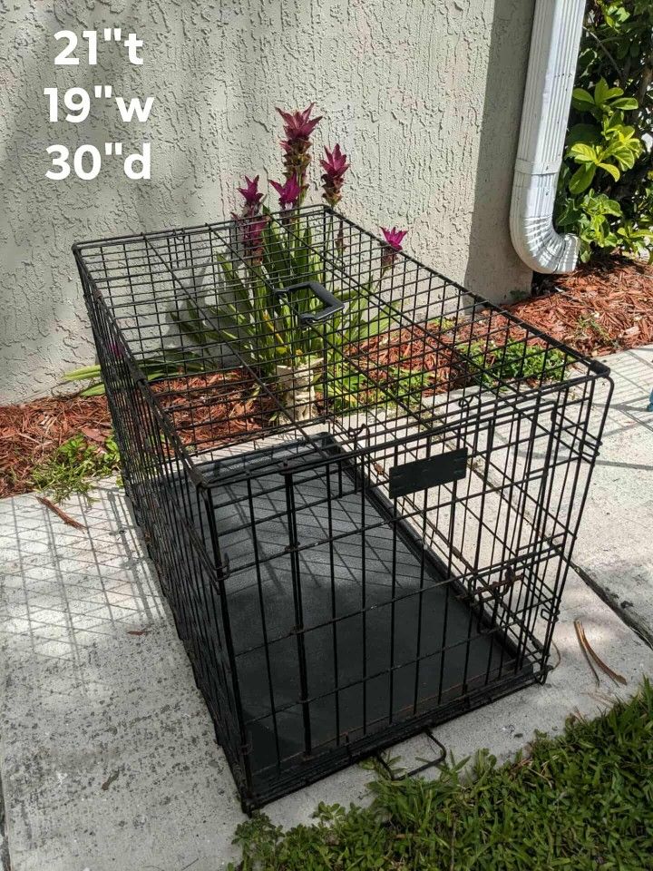 Dog Cage