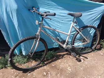Old Bikes 