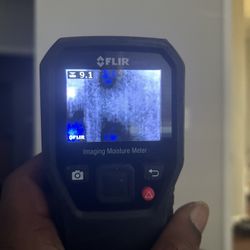 Thermal Image, Moisture Meter