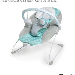 Baby Bouncer 