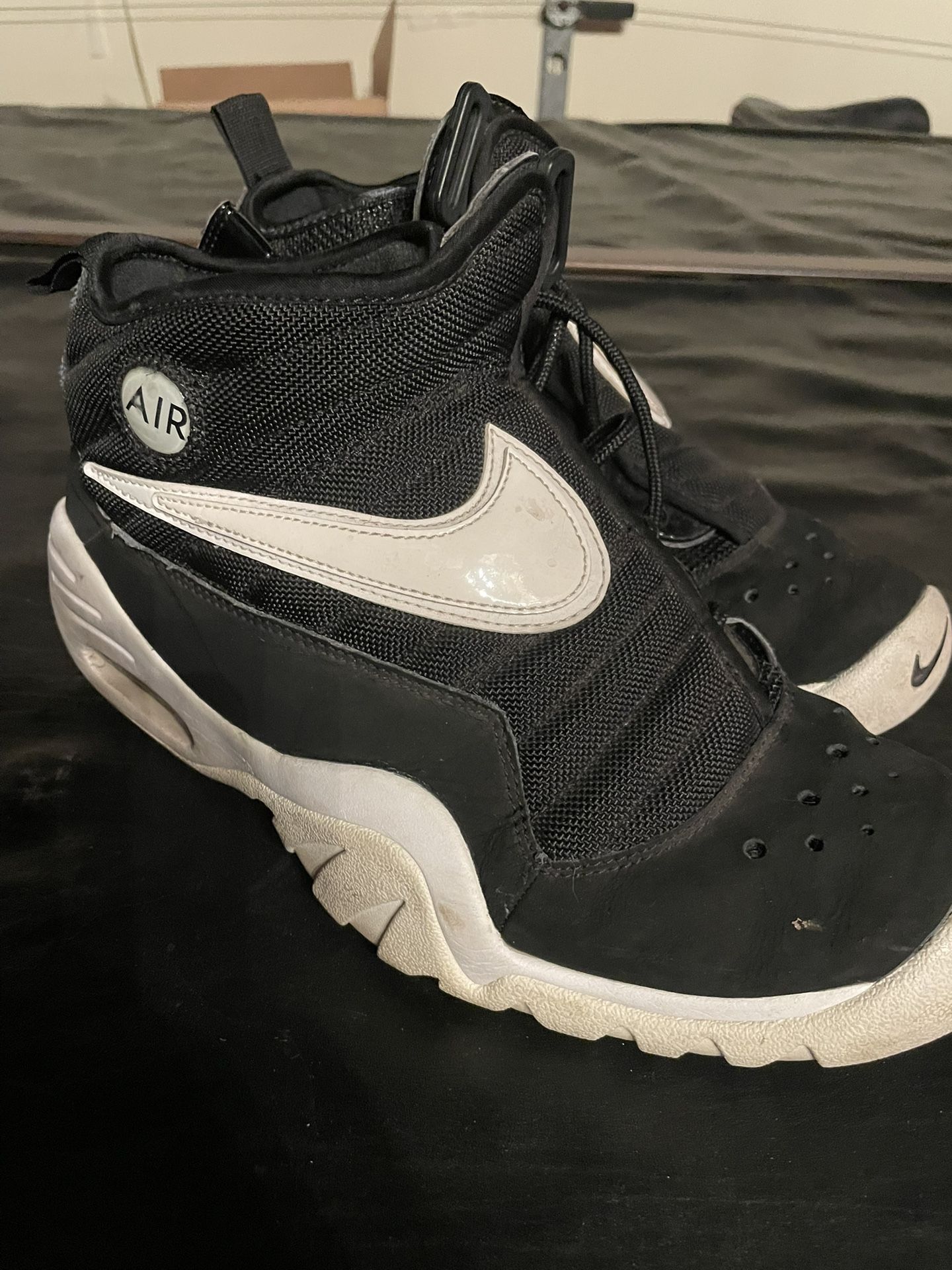 Nike Dennis Rodman Shoes