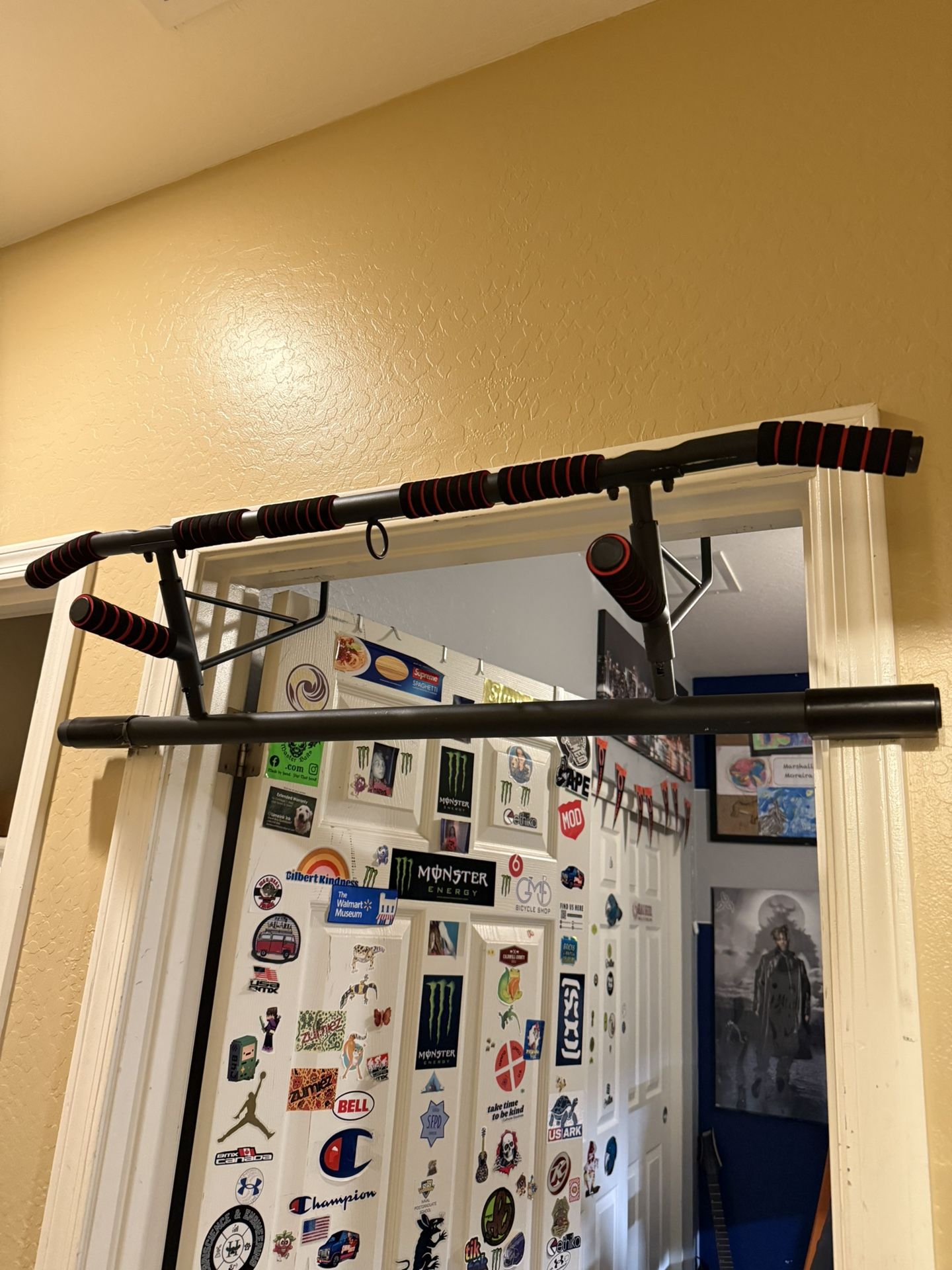 Pull Up Bar