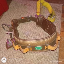 Climbing Belt 