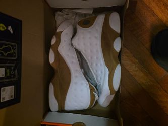 Size 12 jordans