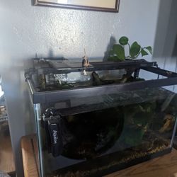 10 Gallon Fish Tank 