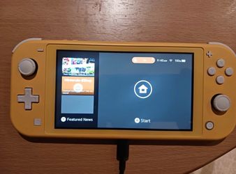 Switch lite
