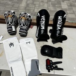 Banchamek Venum Gloves Shin Fighting Gear