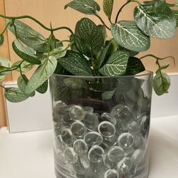 Plant Or Candle Decoration  Set Of 12