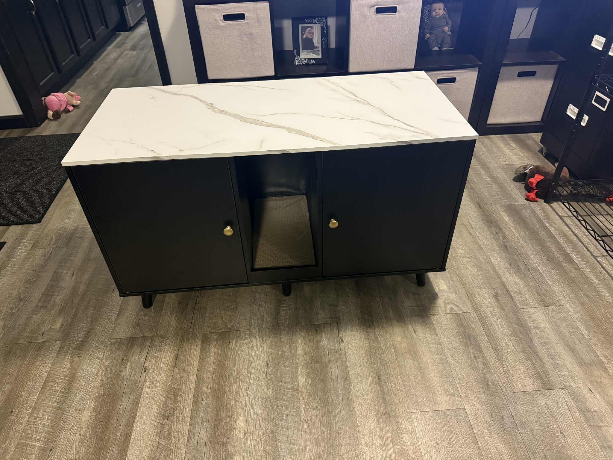 Hidden Litter Box Cabinet