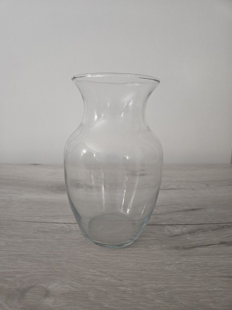 Clear Bubble Glass Flower Vase
