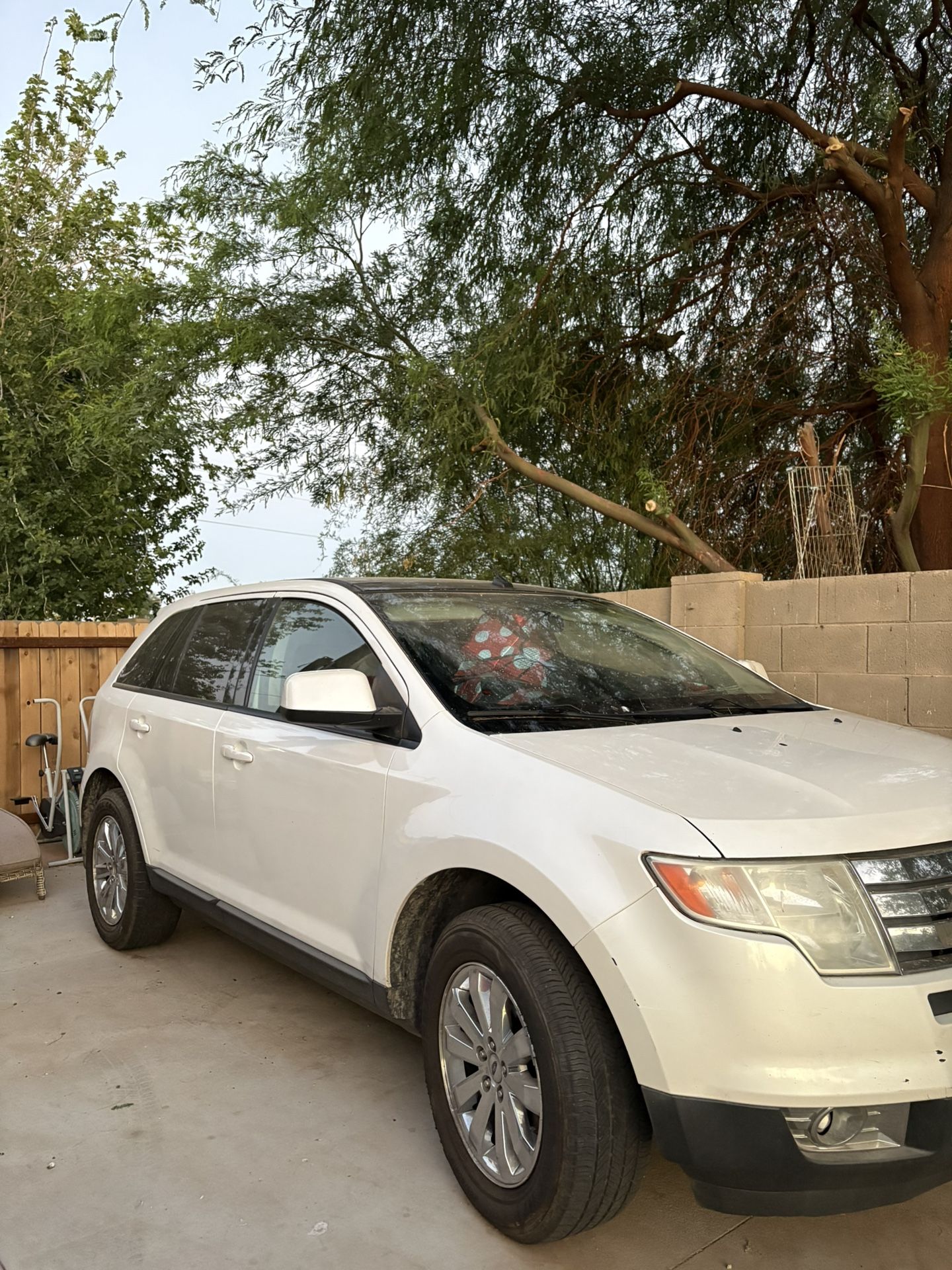2010 Ford Edge