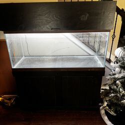 75 Gallon Fish Tank