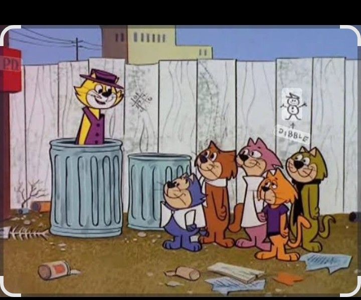 Se Regalan Gatos En Escondido Ca Pequeños