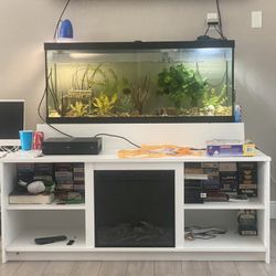 75 Gallon Aquarium 