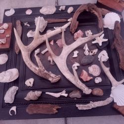 Antlers, Crystals, Marble, Driftwood, Ect