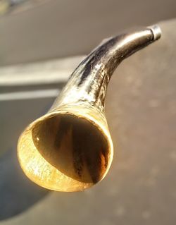 Shofar Ram Horn
