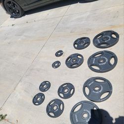 Olympic Weights, Olympic Bars, And Dumbbells Available