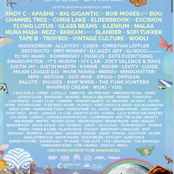 Shambhala 2025 Ticket