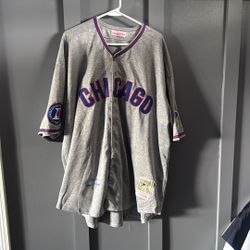 Ernie Banks Jersey