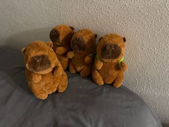 Capybara todo junto por solo $10