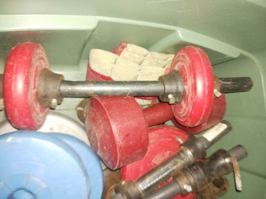 Ab Bench And Free Weights for Sale in Cleveland, OH OfferUp