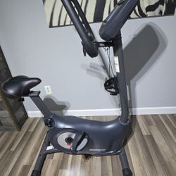 Schwinn 170 Upright Bike