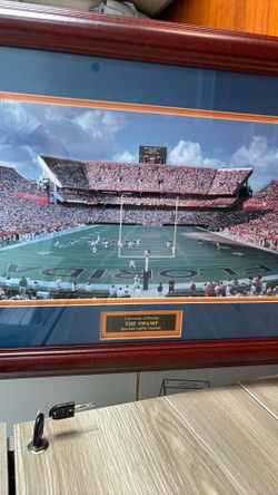 Gator Fans Ben Hill Griffin Stadium