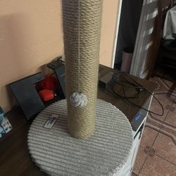 Cat Toy