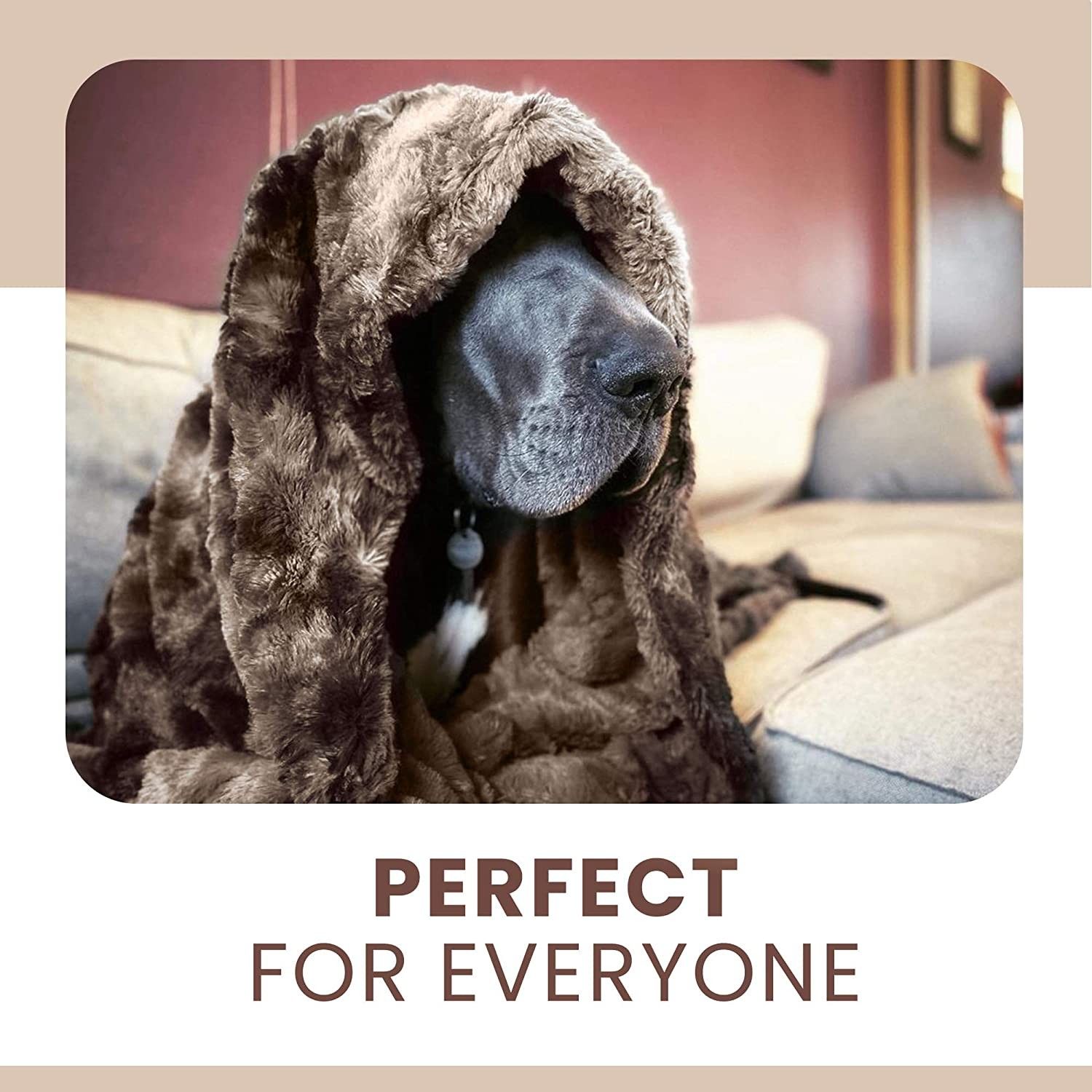 Luxury Faux Fur Throw Blanket - Ultra Soft and Fluffy - Plush for Couch Bed and Living Room - Fall Winter and Spring - 50x65 (Full Size) Brown