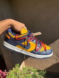 Dunk off white Michigan