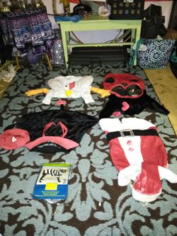 Halloween Costumes for a Dog