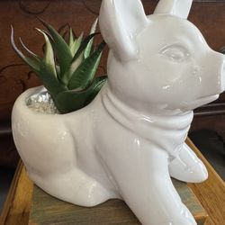 Adorable White Pig With Faux Succulent 