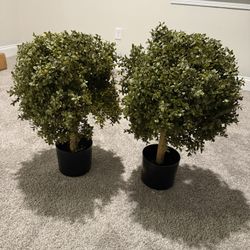New artificial boxwood topiary ball plants