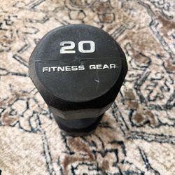 20 lb Dumbbell Weight