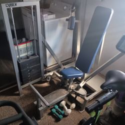 Cybex Exercise Machine