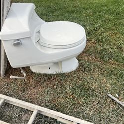 Toilet Seat 