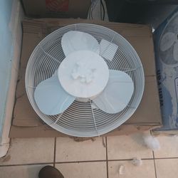 Fan