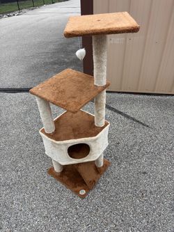 Multi-Level Cat Tree with Condo