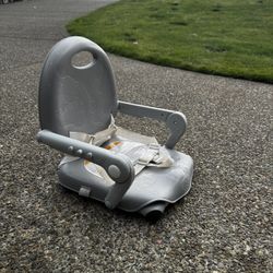 Chicco Booster Seat