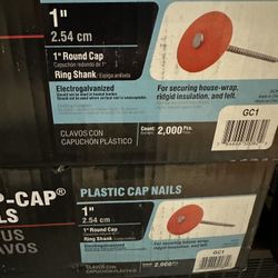 1” Plastic Cap Roofing Nail Bulk 2,000 Pc