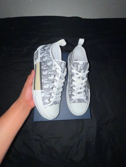 Dior B23 grey low tops