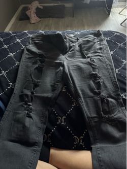 Torrid pants