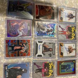 WWE Card Lot 