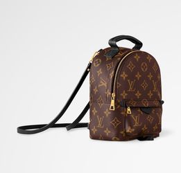 LOUIS VUITTON Palm Springs mini bag