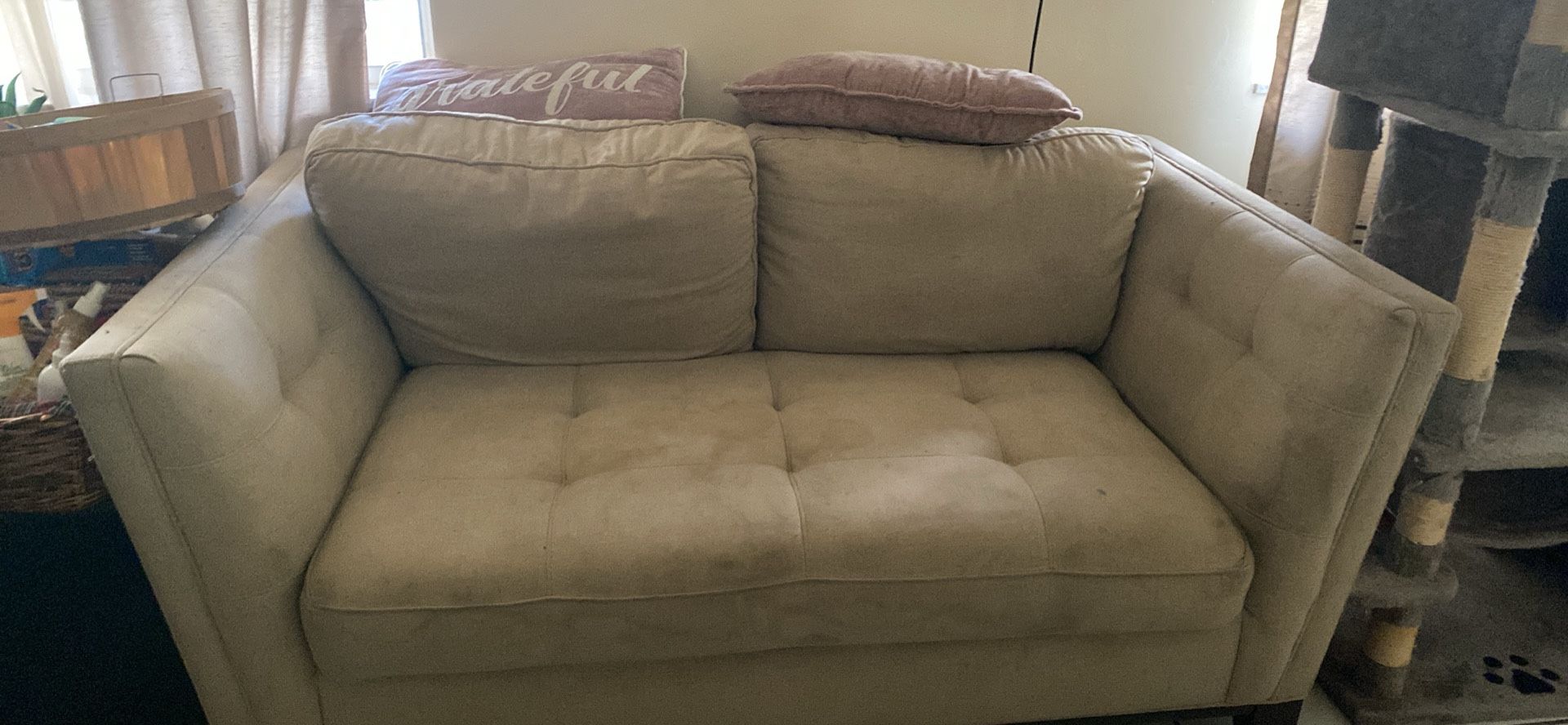 Sofa Bed Included Regular Sofa With table $150.00