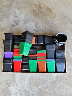 Various individual planters FREE