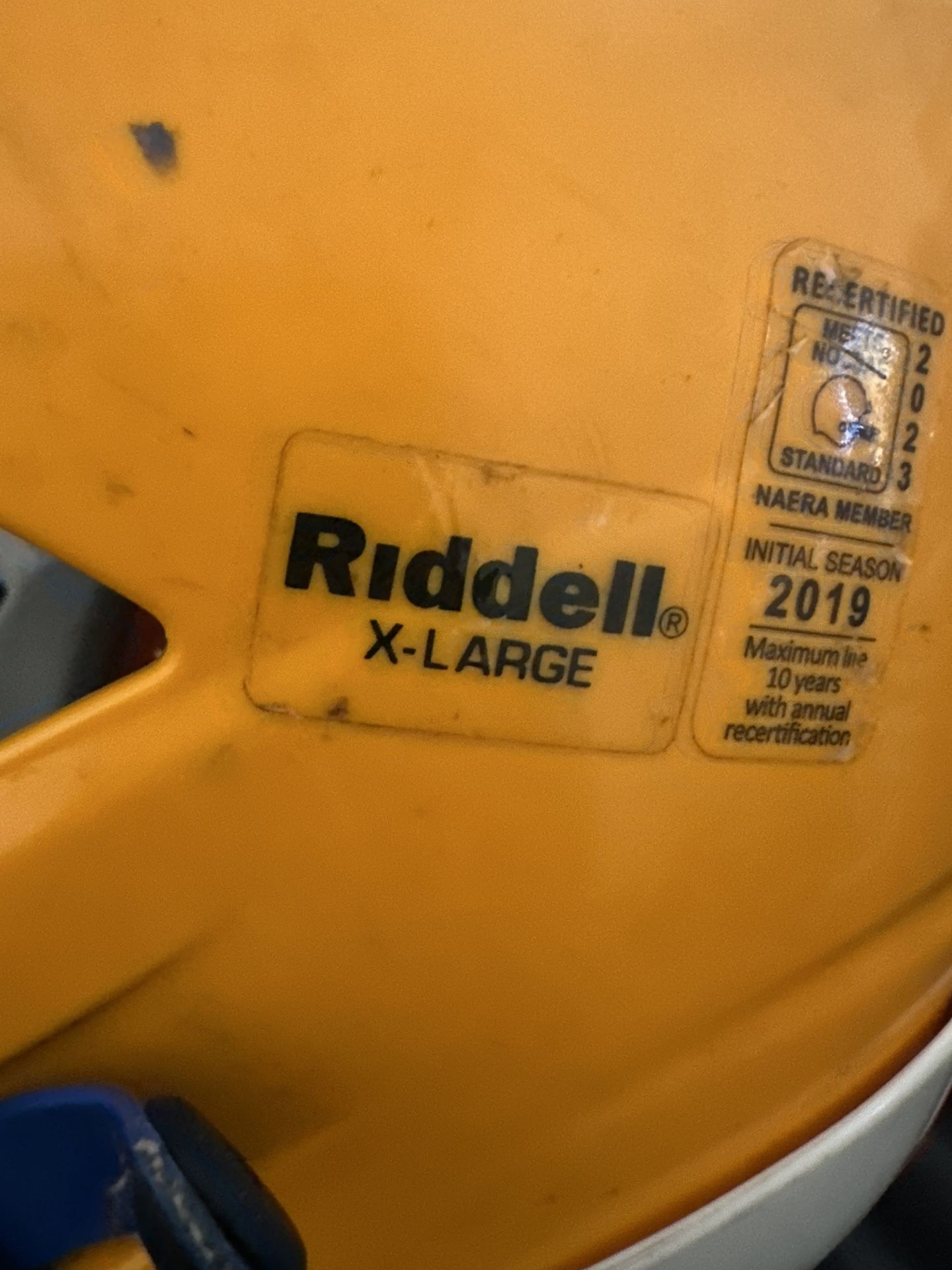 2019 speed flex