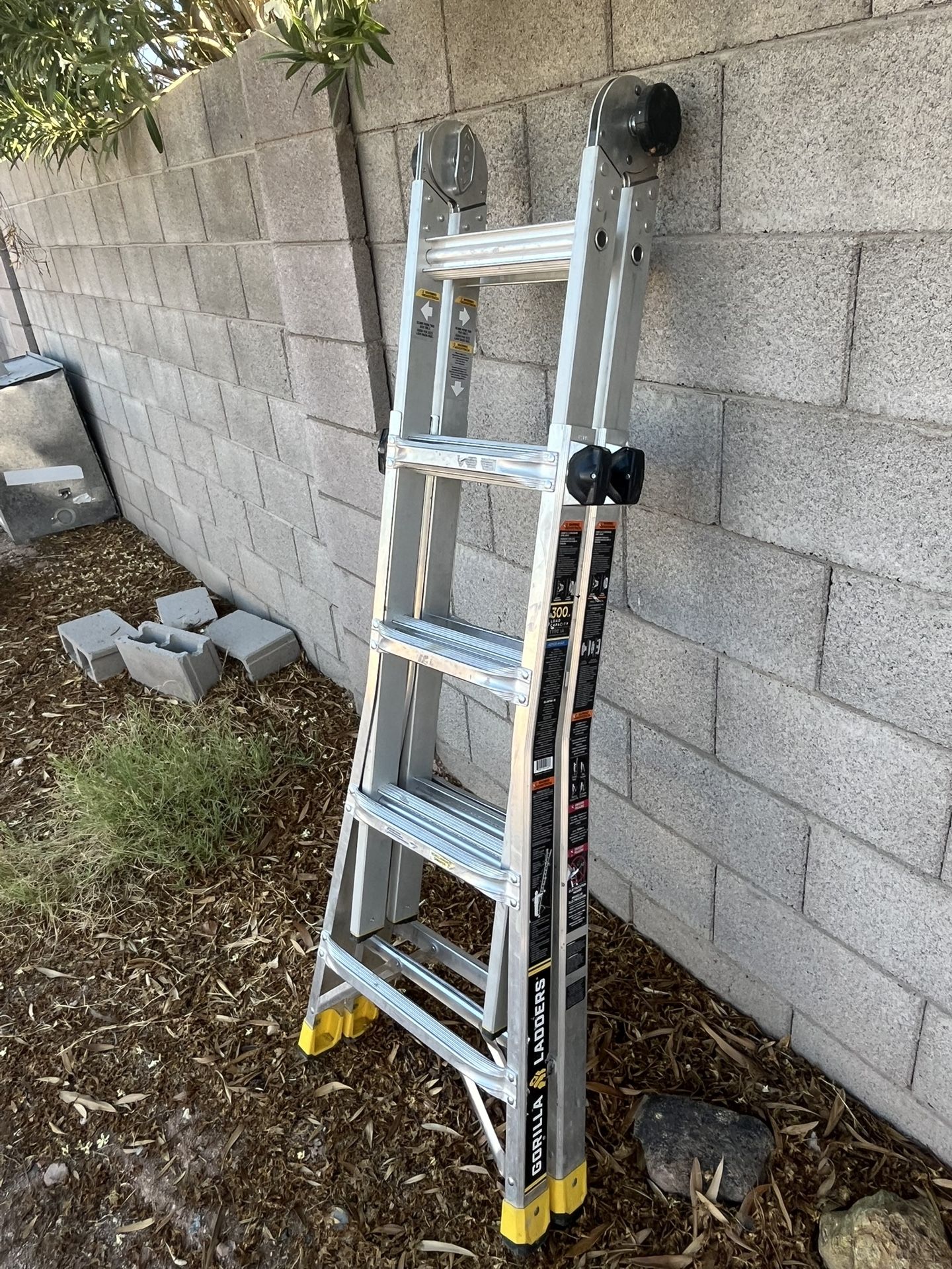Gorilla Ladder