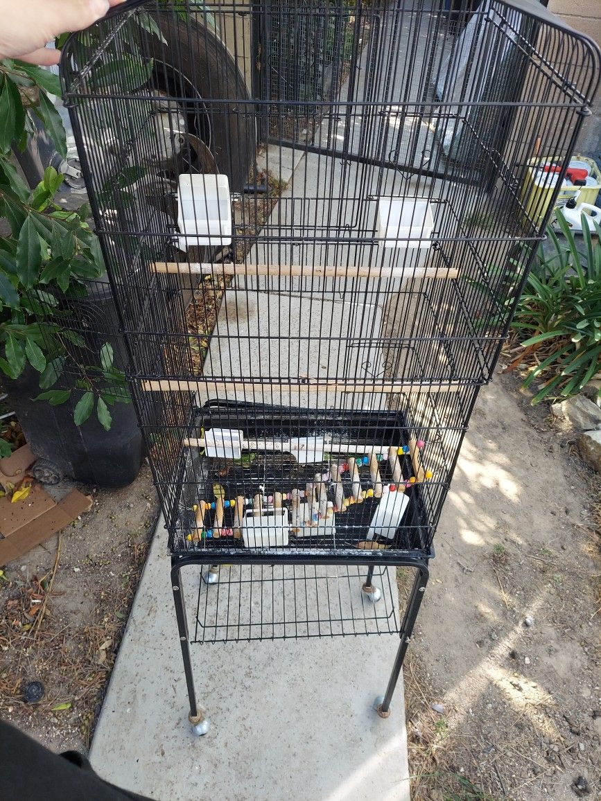 Brid Cage