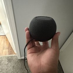 Apple Home Pod Mini